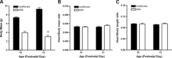 Figure 5.