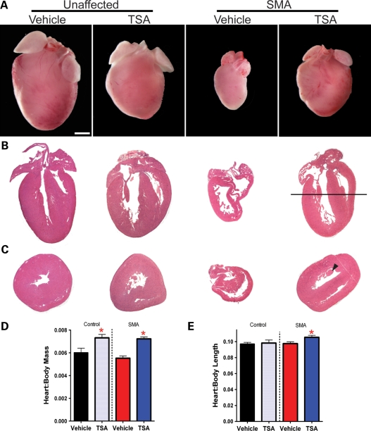 Figure 9.