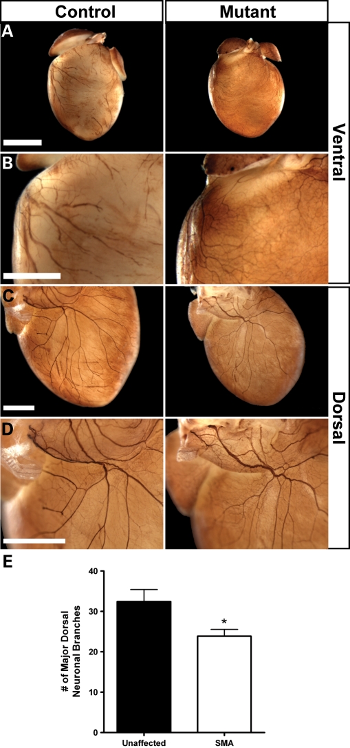 Figure 6.