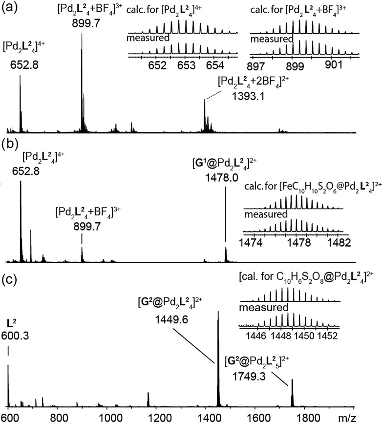 Fig. 3