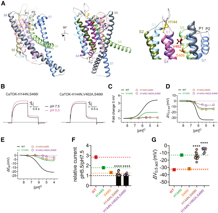 Figure 6