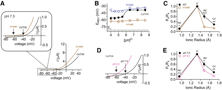 Figure 3