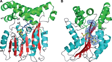 FIGURE 6.