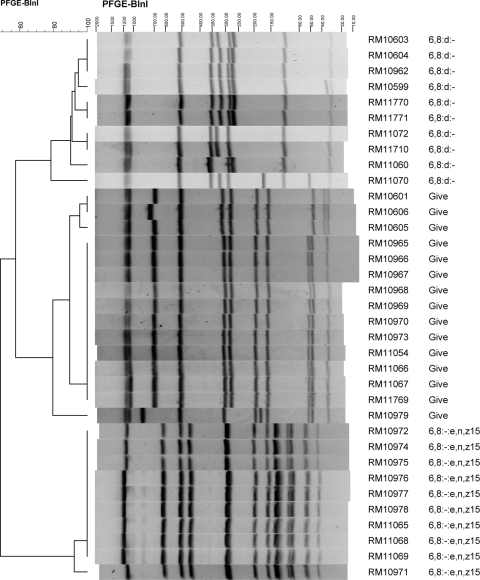 Fig. 5.