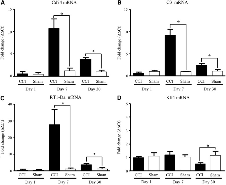 FIG. 4.