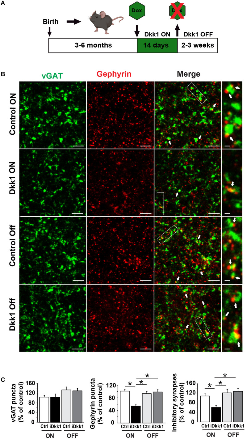 FIGURE 3