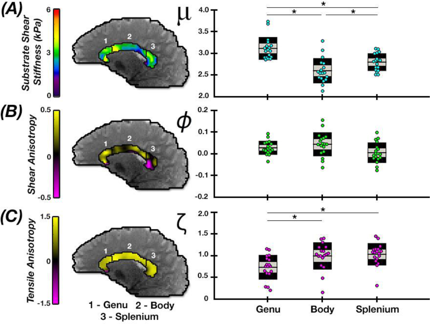 Figure 6: