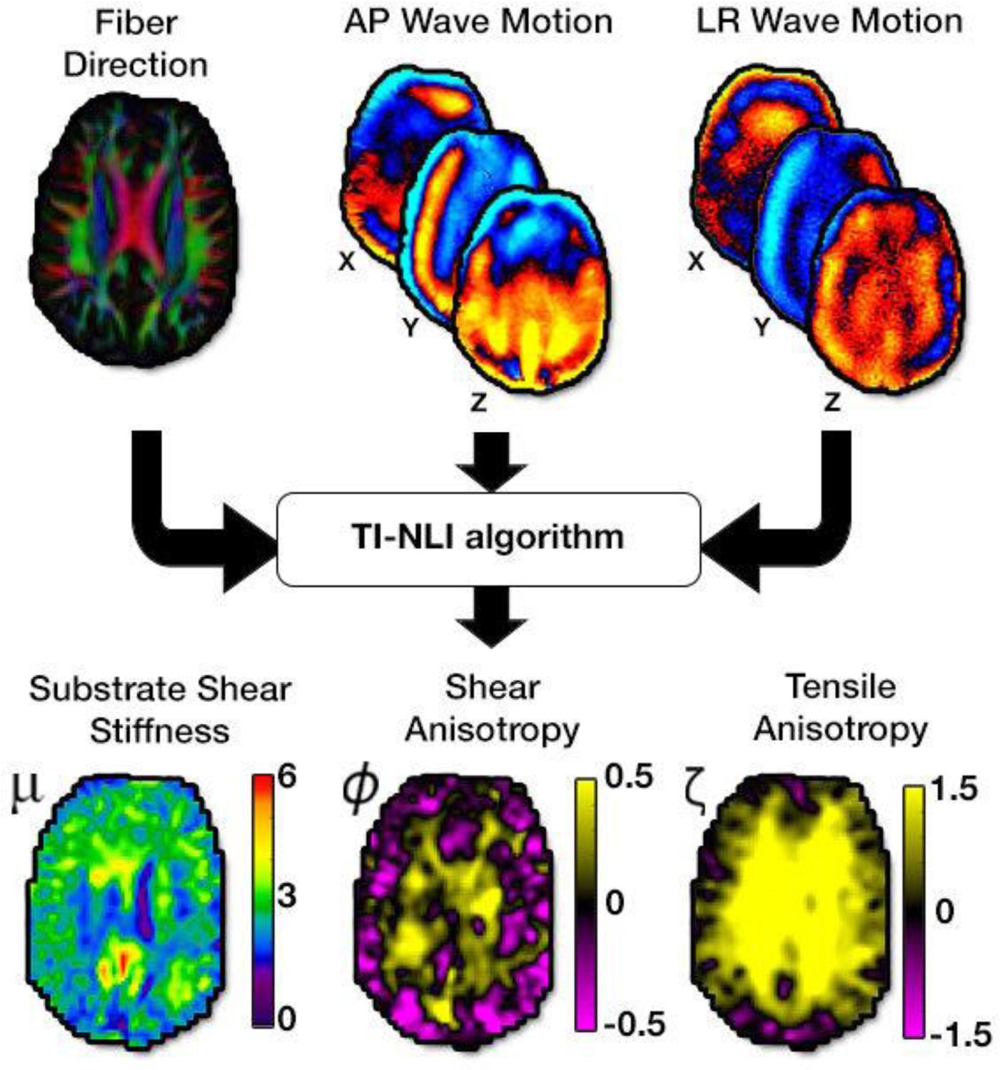 Figure 2: