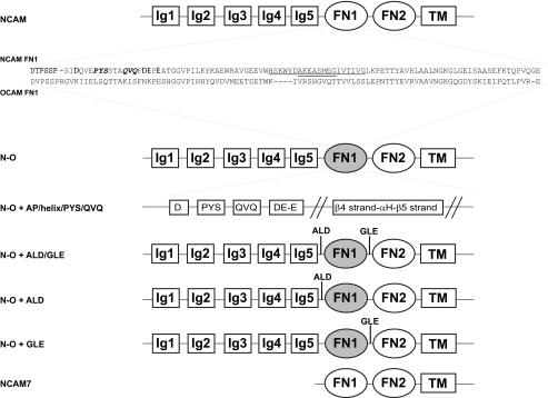 FIGURE 1.