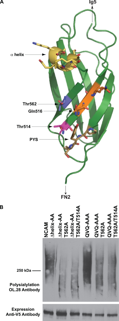 FIGURE 4.