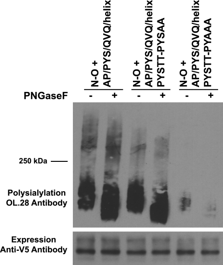 FIGURE 9.