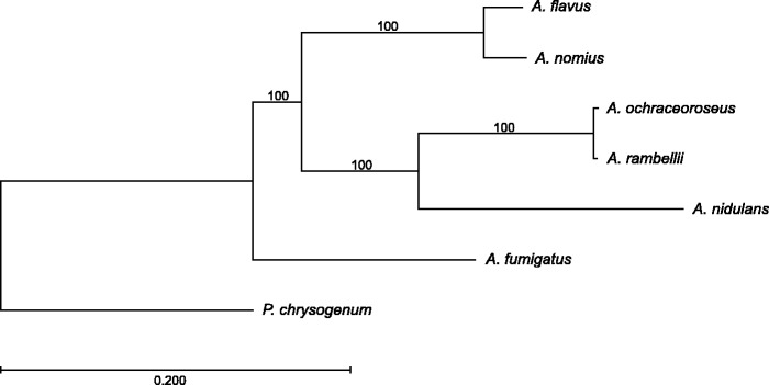 Fig. 1.—