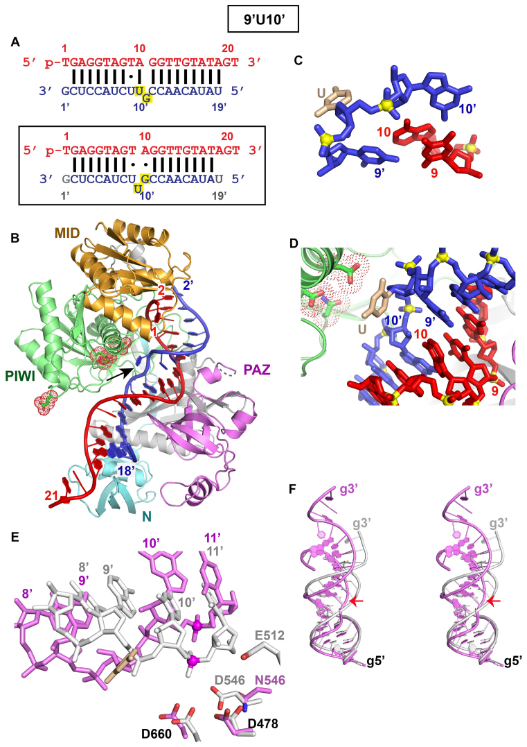 Figure 5.