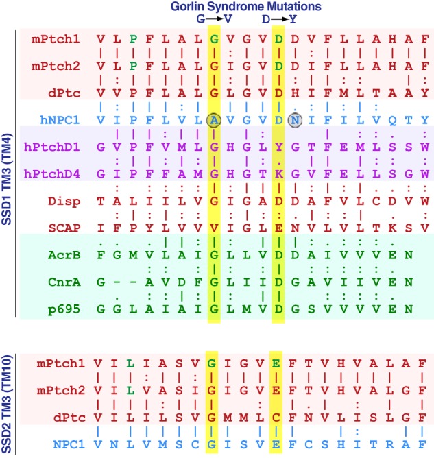 Figure 9.