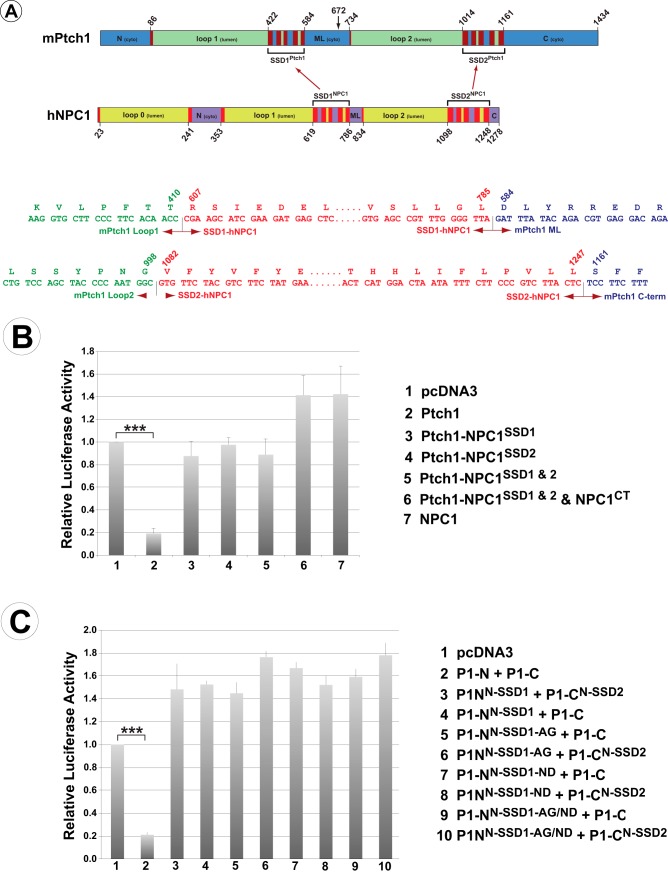 Figure 7.