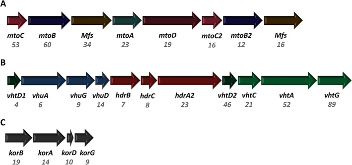 Fig 4