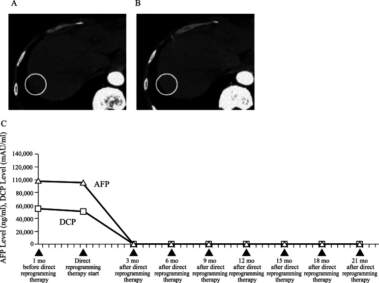 Figure 1