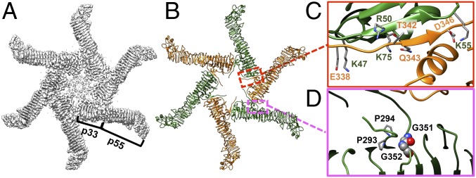 Fig. 3.