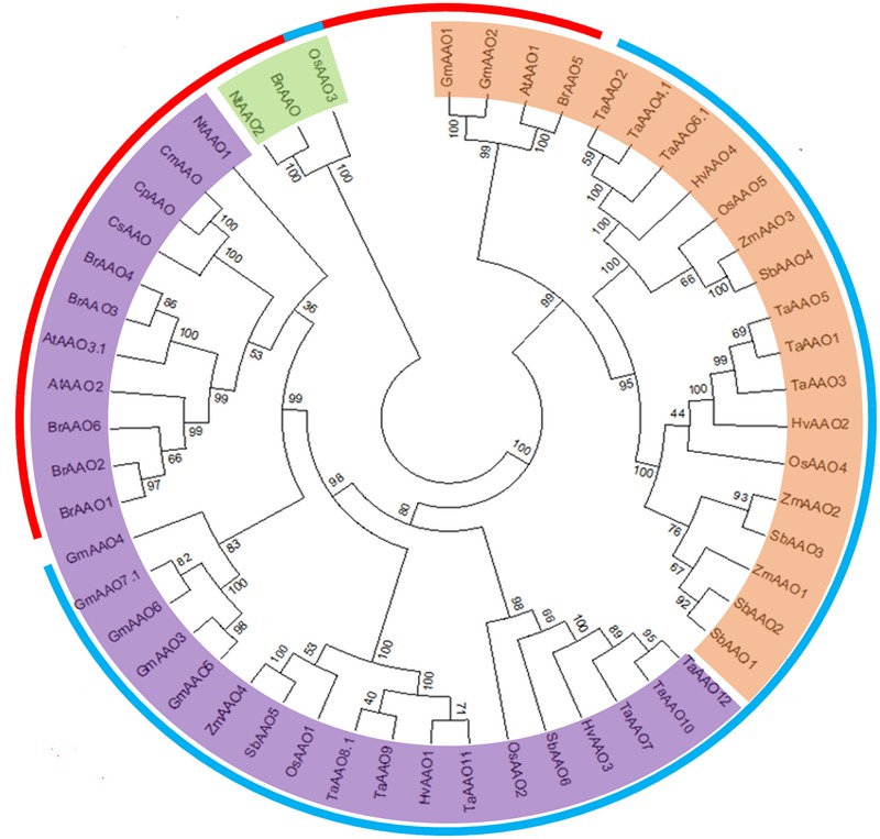 FIGURE 2