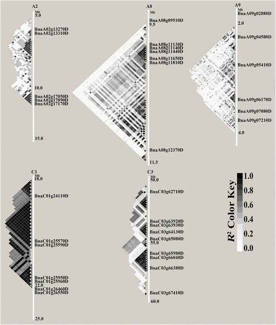 Fig. 4