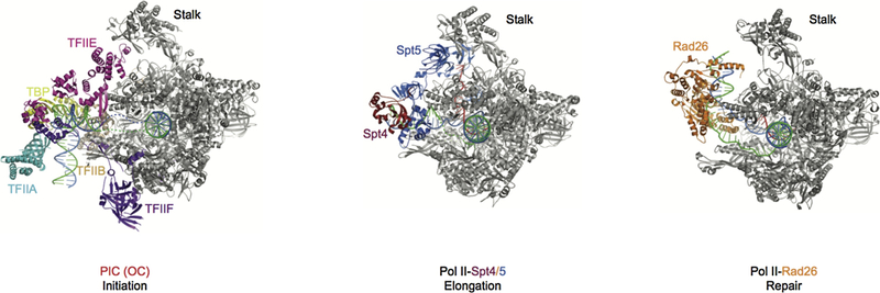 Figure 10.