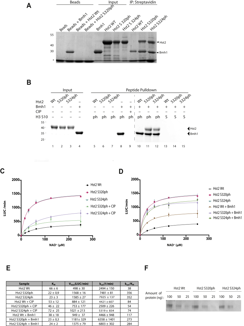 Figure 3