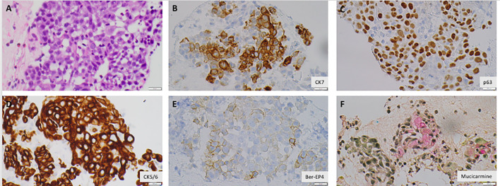 Figure 3