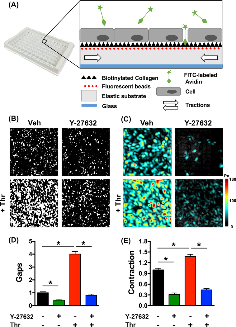 Figure 1: