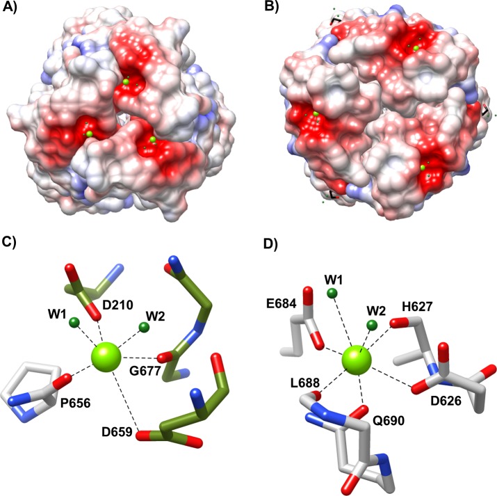 Fig 5