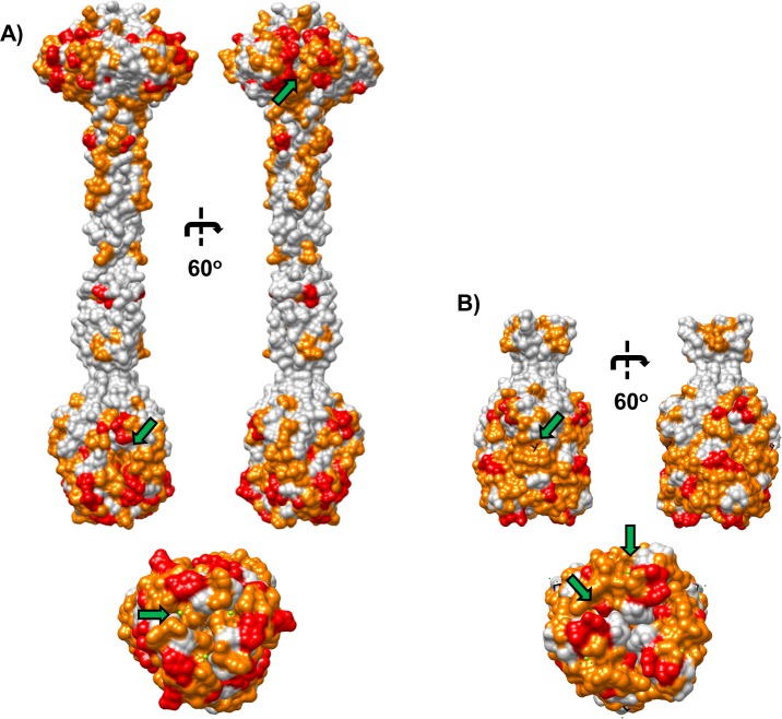 Fig 6