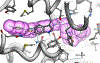 Figure 4B.