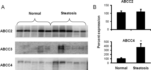 Fig. 8.