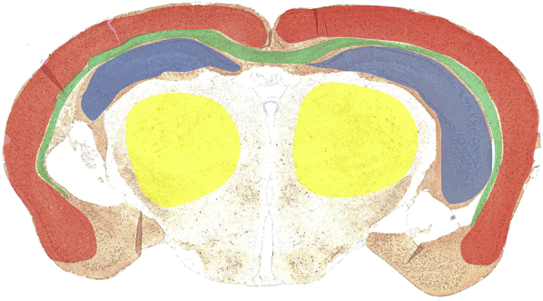 Supplementary Fig. 2