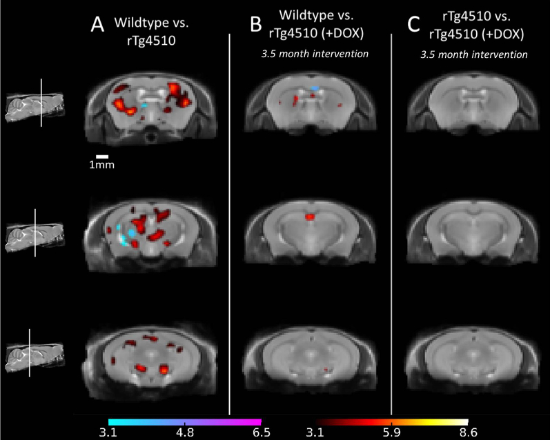 Supplementary Fig. 3