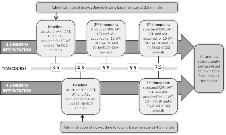 Supplementary Fig. 1