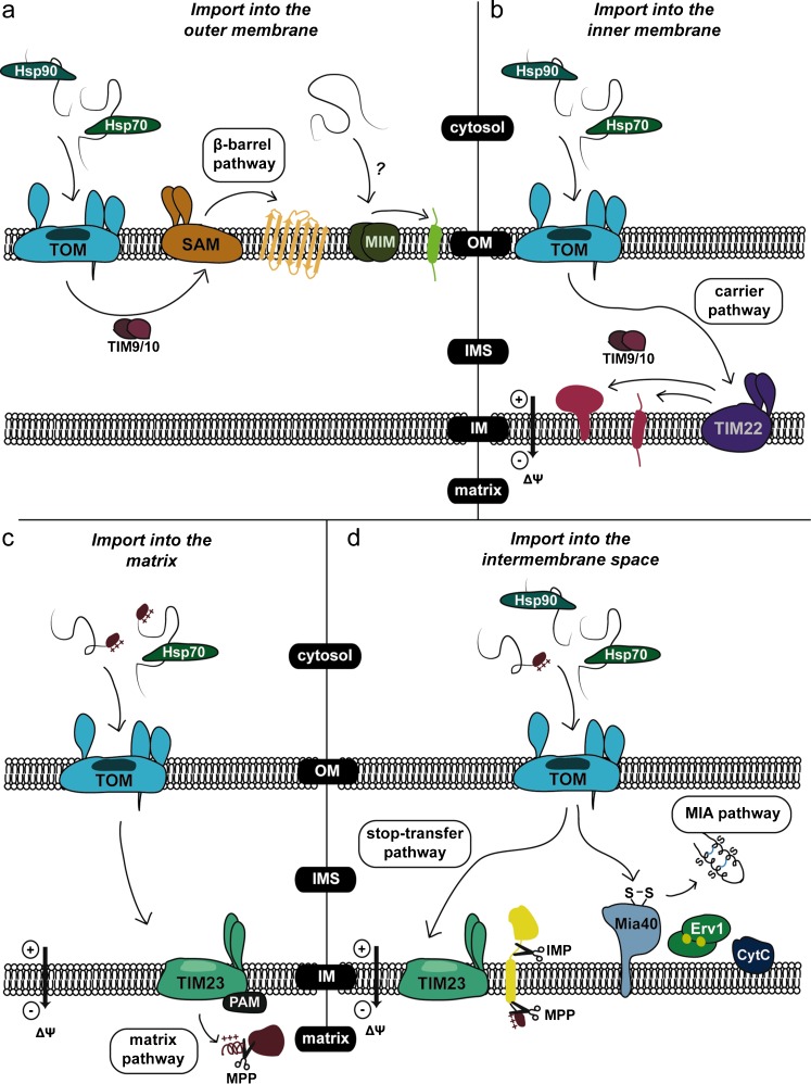 Fig. 2