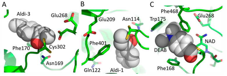 Figure 9