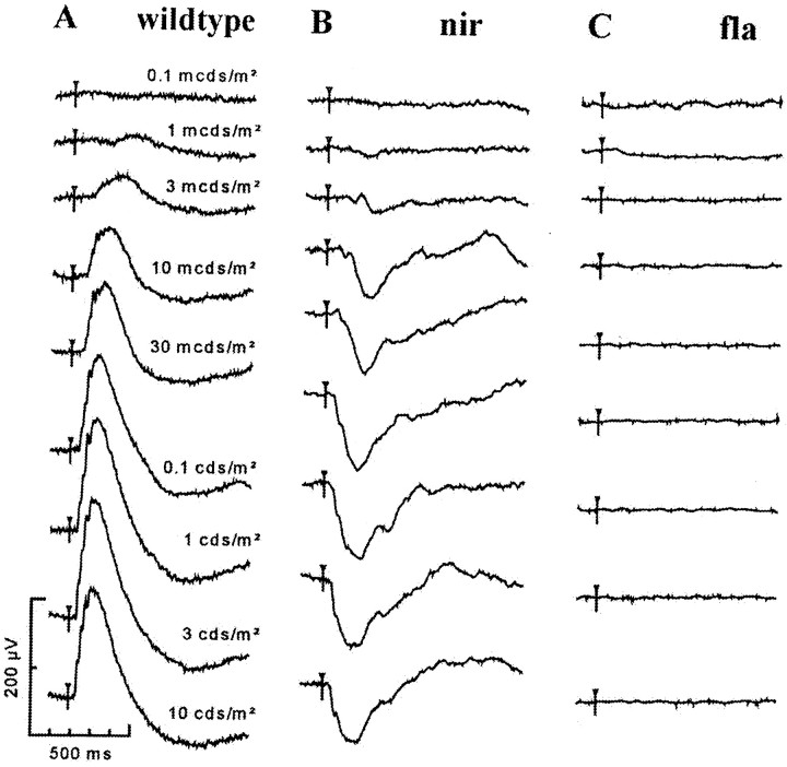 Fig. 3.