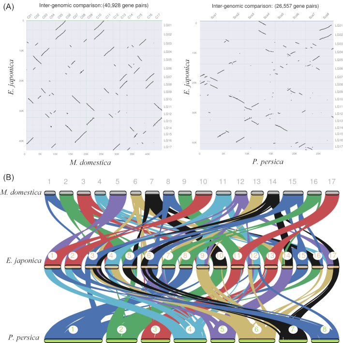 Figure 5: