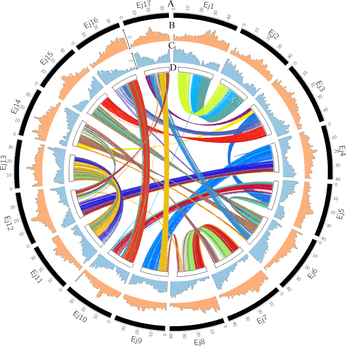 Figure 3: