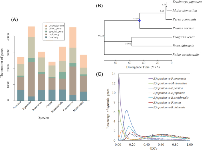 Figure 4: