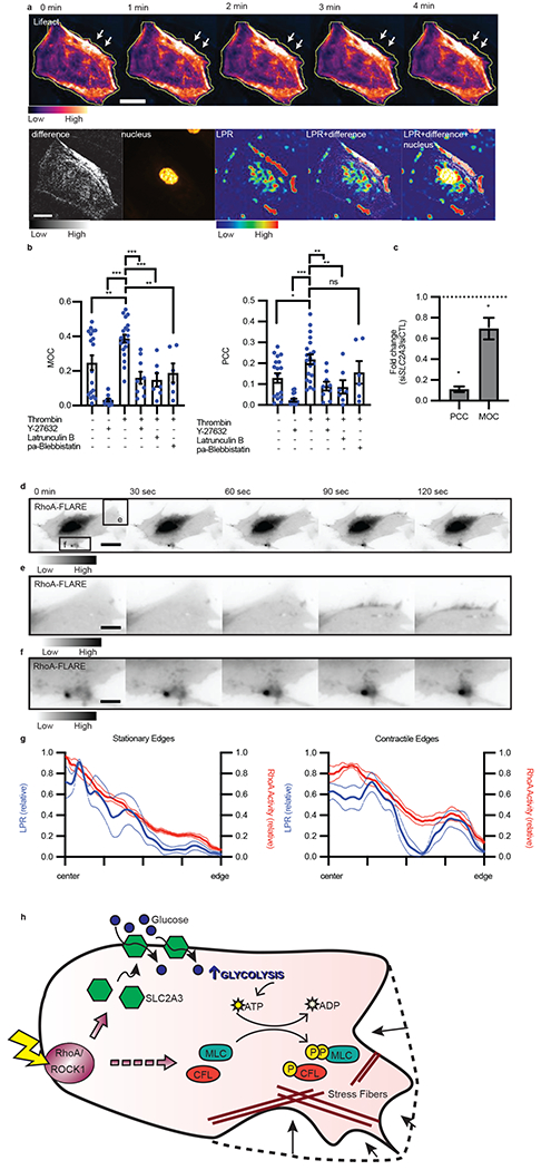 Figure 6: