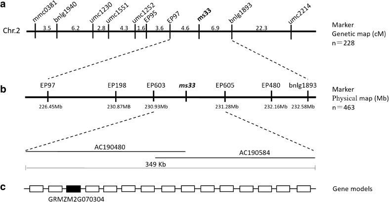 Fig. 3