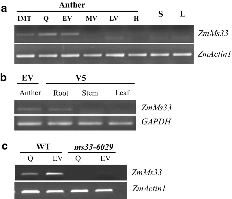 Fig. 8