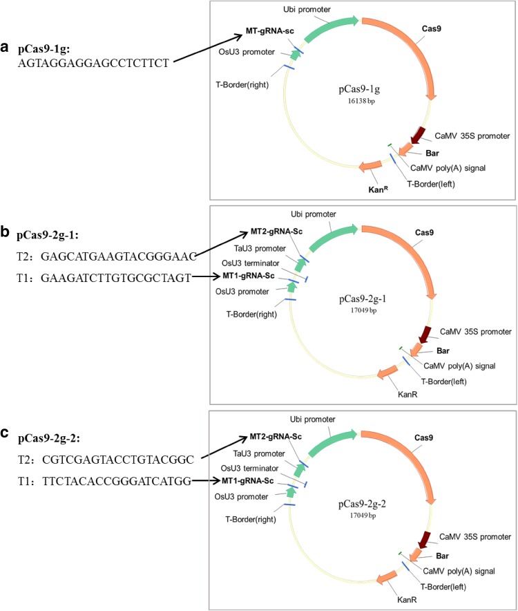 Fig. 6