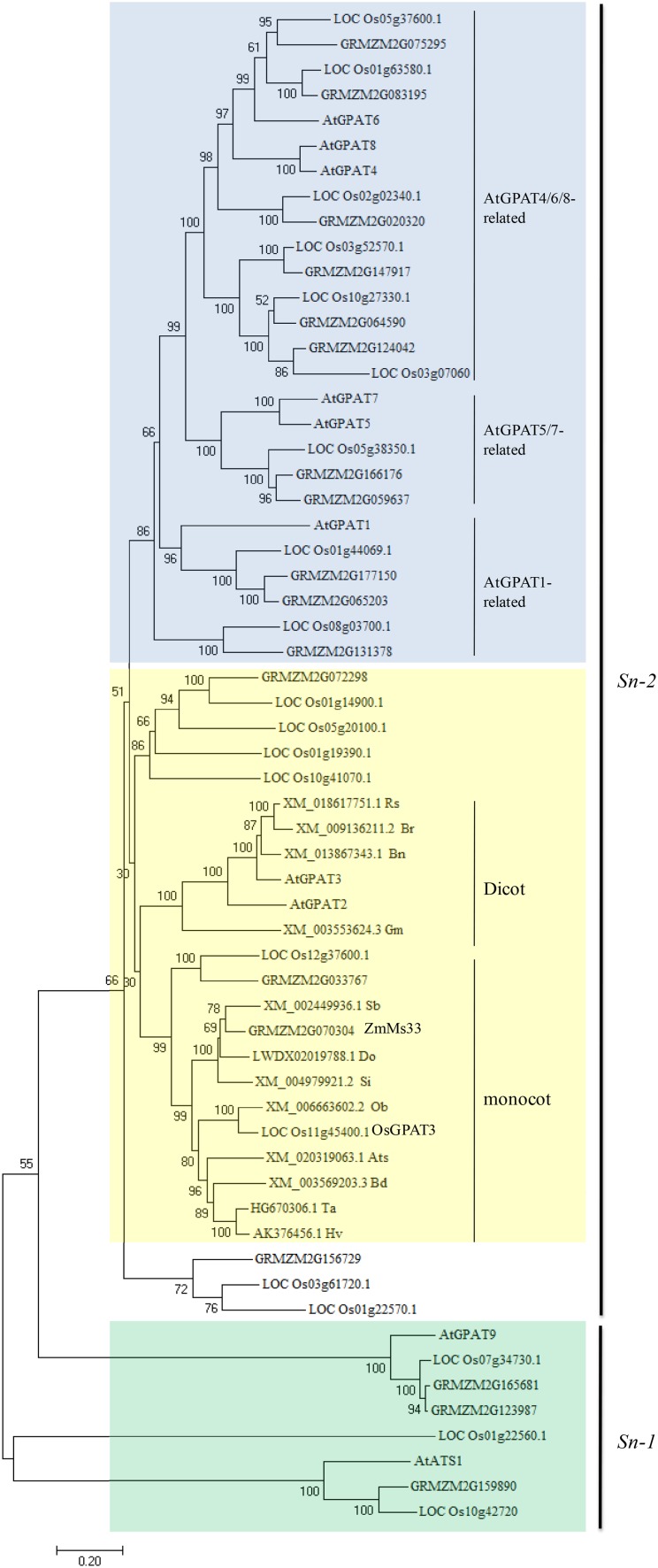 Fig. 9