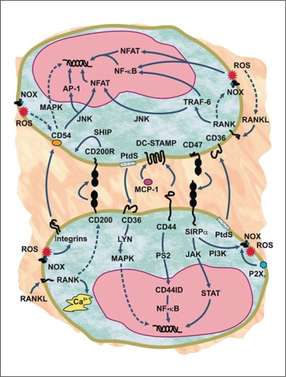 Fig. 3