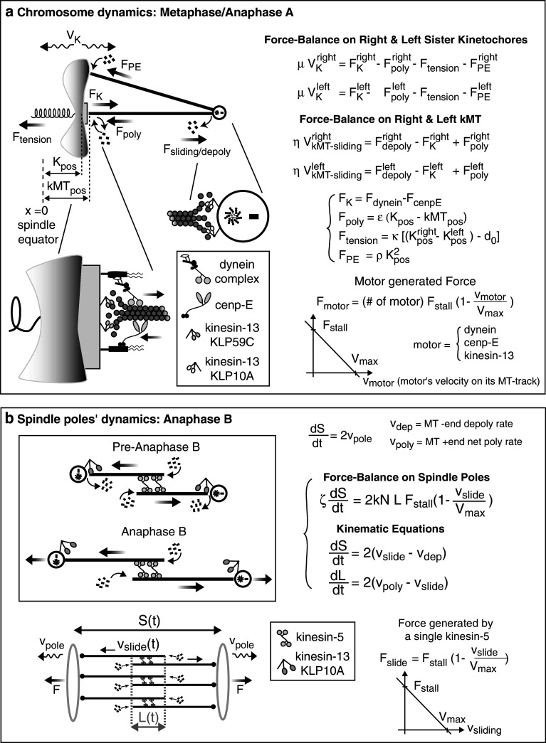 Fig. 7