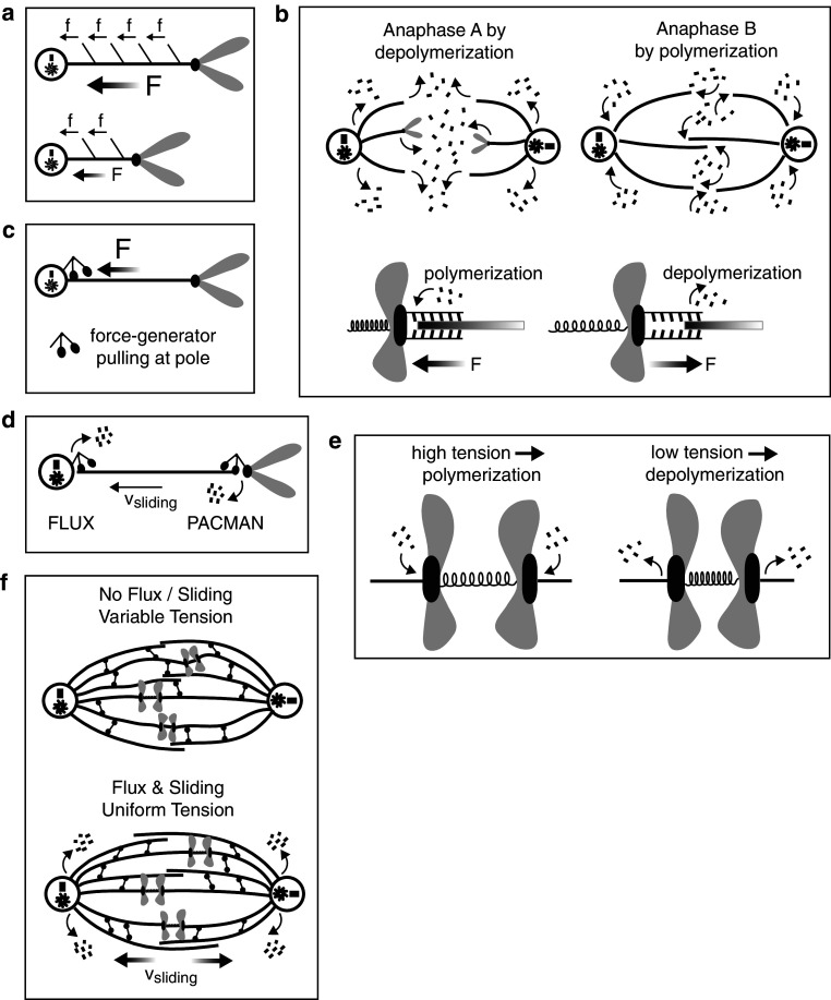 Fig. 6