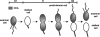 FIG. 1.